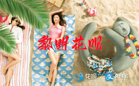 首屈一指花呗